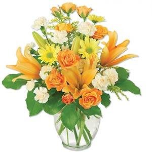 Florero Lilium, Gerberas, margarita y Rosas